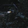 PLL204-1119.jpg