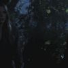 Filename=PLL204-1150.jpg
Filesize=41KiB
Dimensions=1280x720
Date added=Jul 06, 2011 PLL204-1150.jpg
