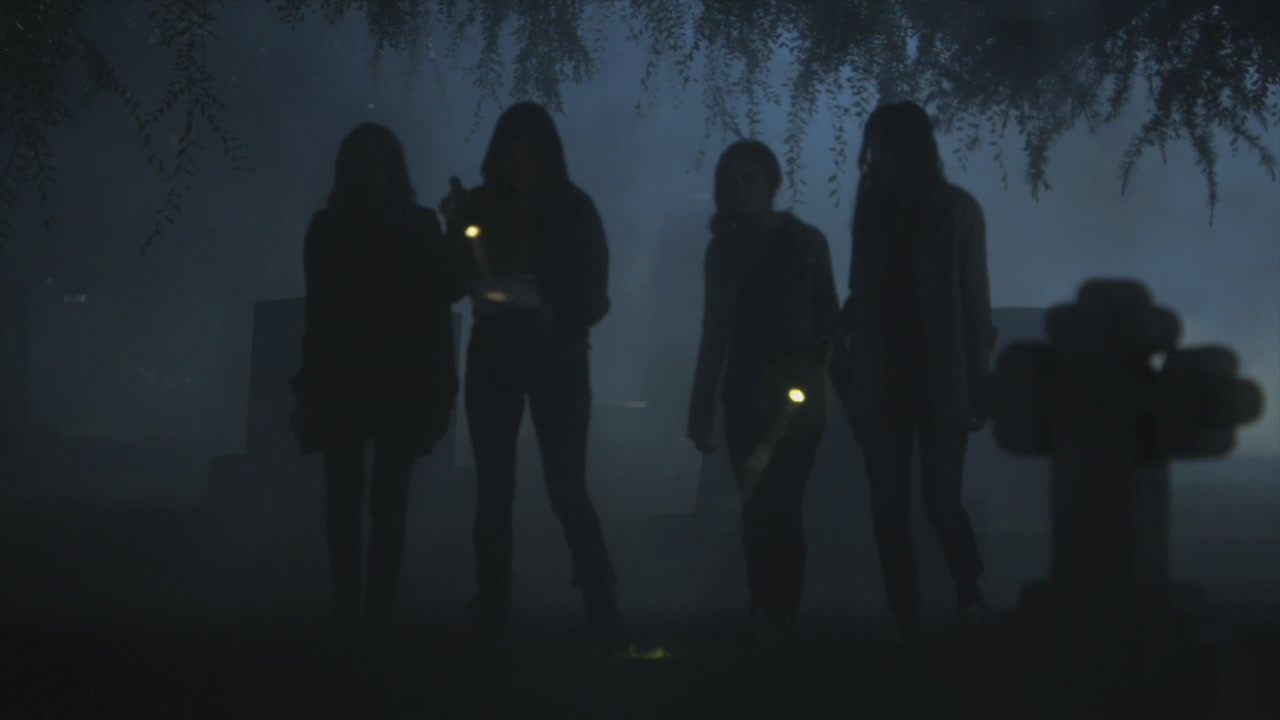 PLL205-1144.jpg