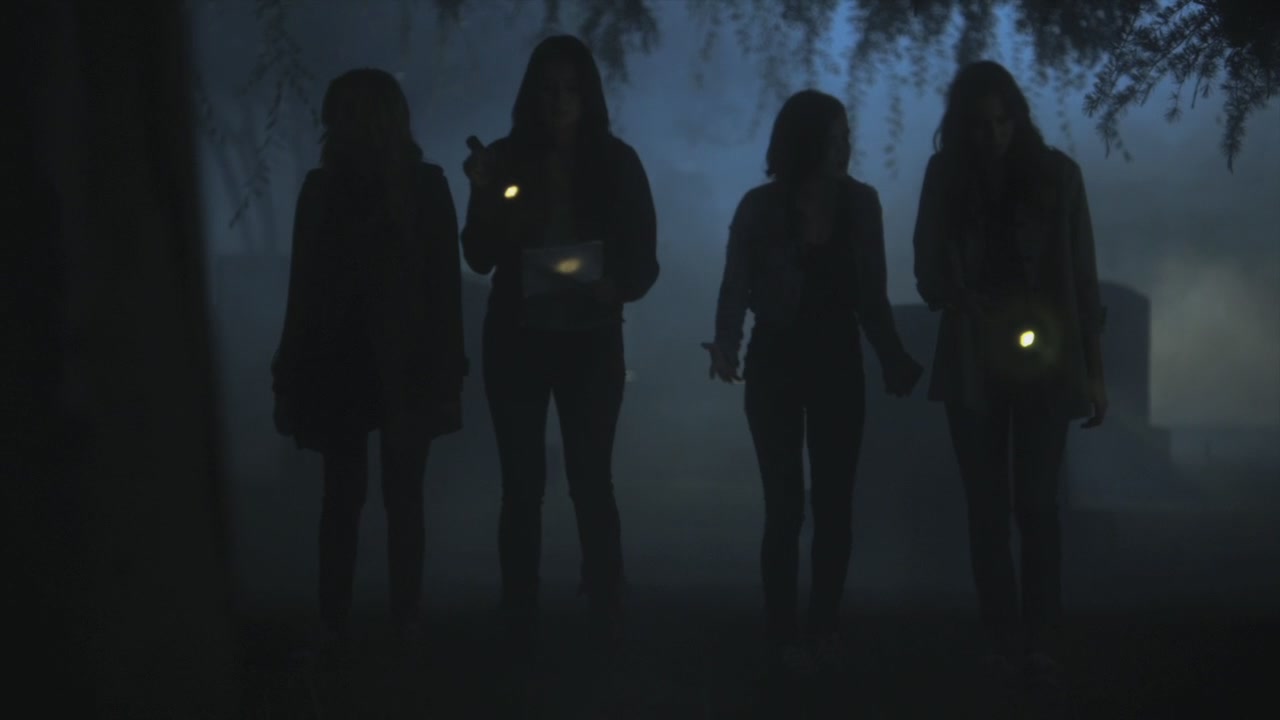 PLL205-1147.jpg