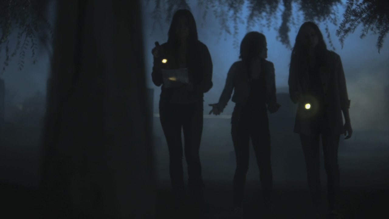 PLL205-1148.jpg