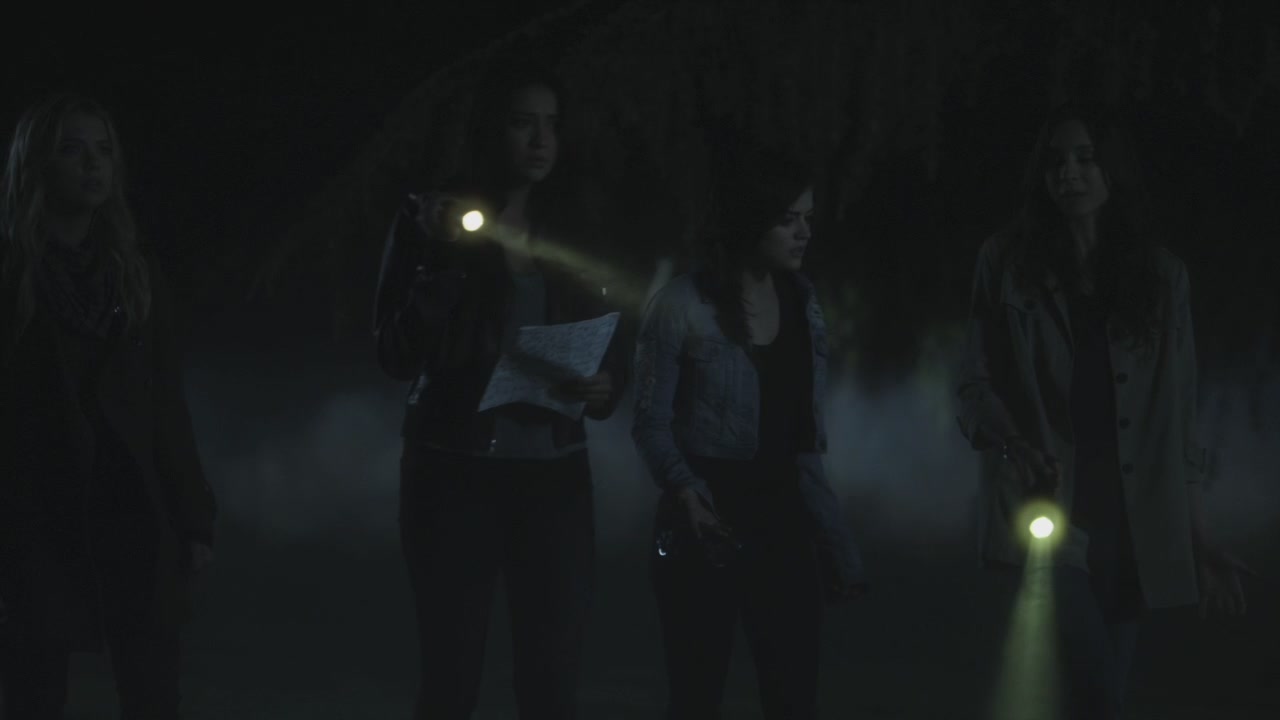 PLL205-1149.jpg