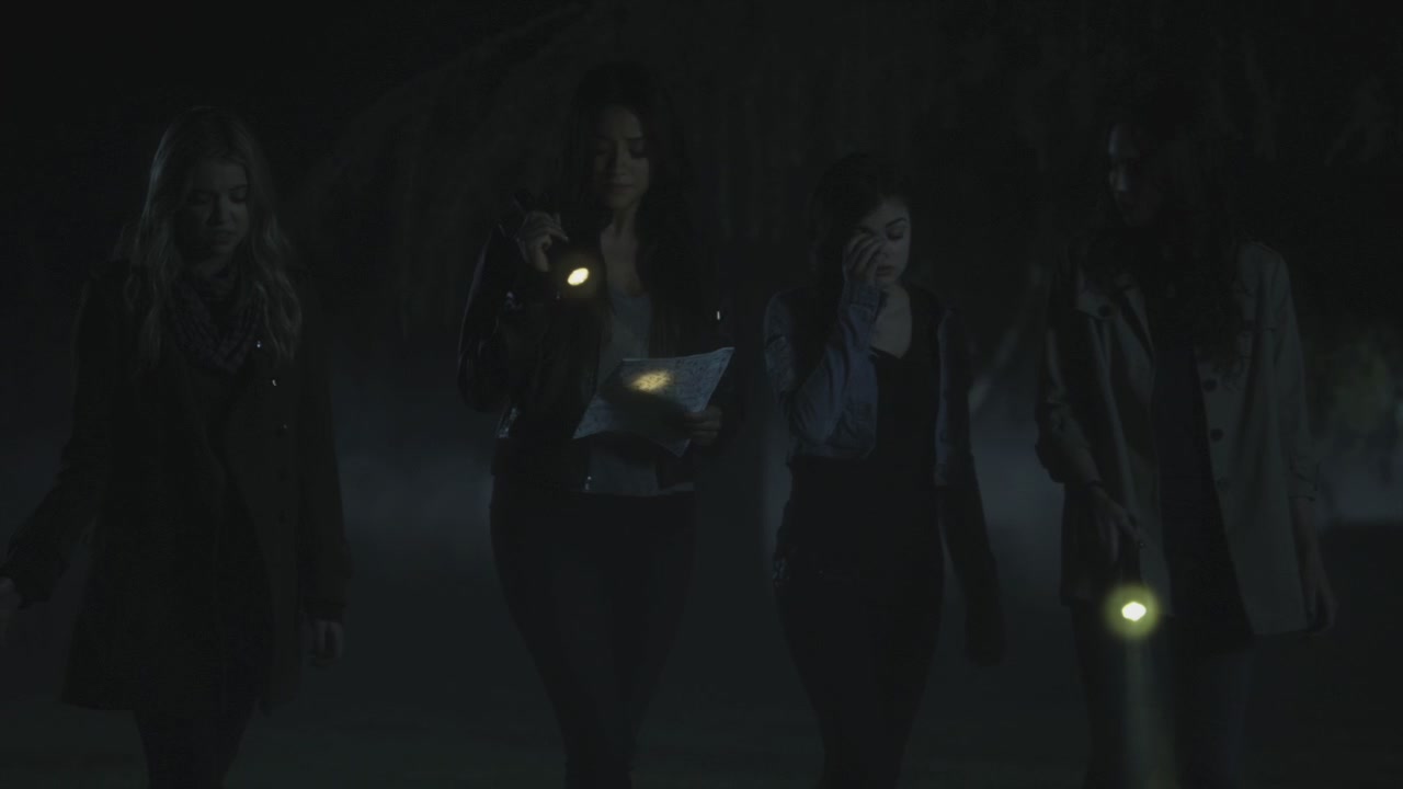 PLL205-1151.jpg