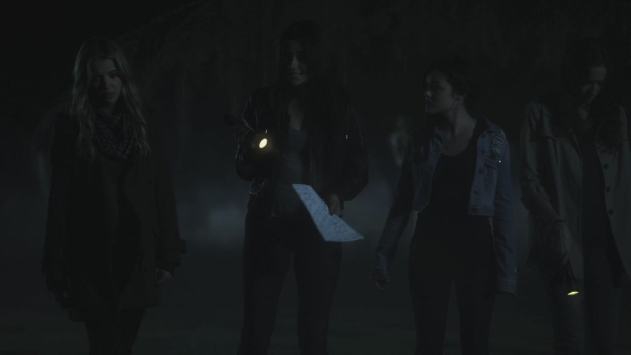 PLL205-1153.jpg