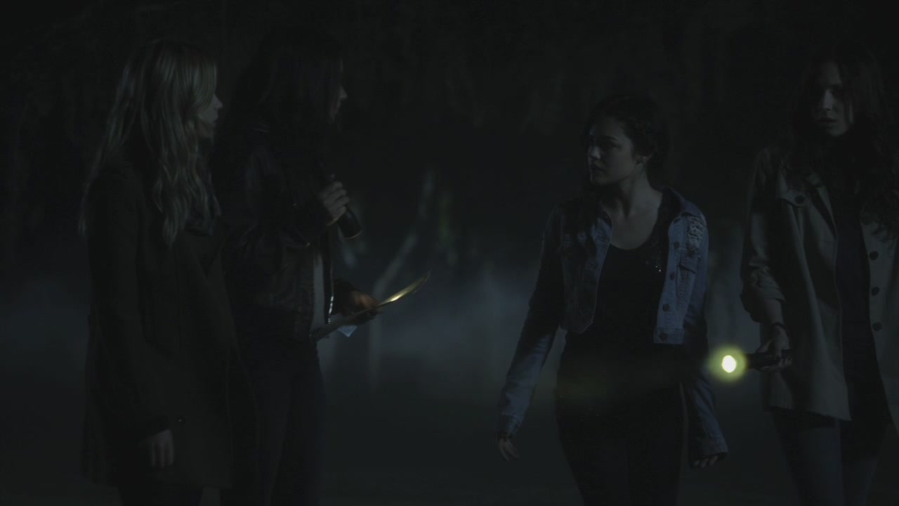 PLL205-1155.jpg