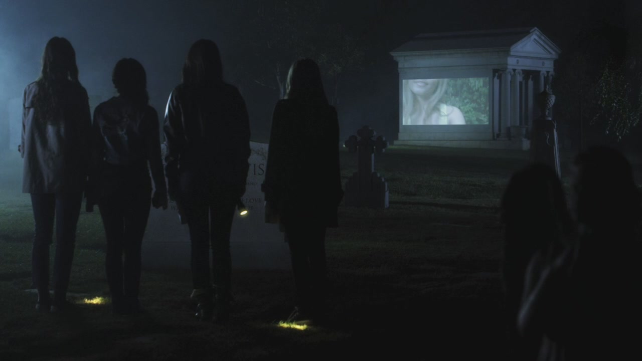 PLL205-1172.jpg
