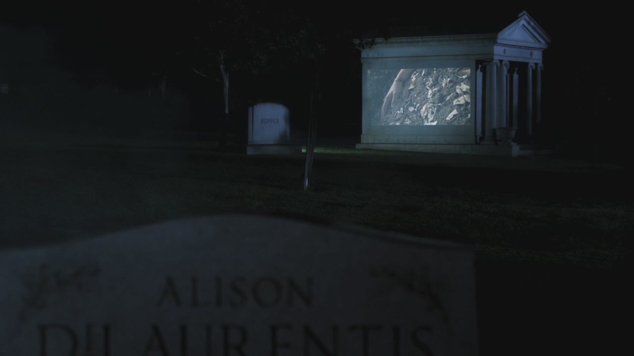 PLL205-1176.jpg