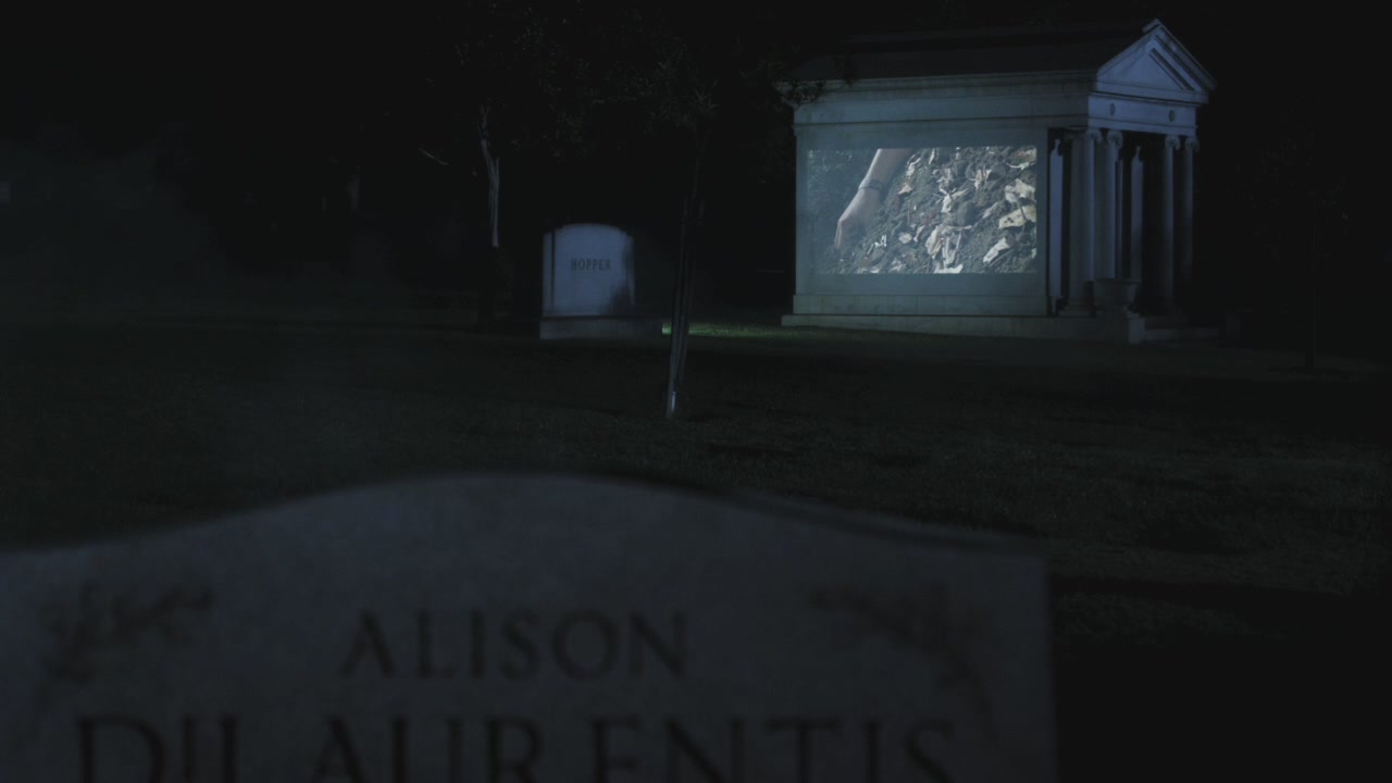 PLL205-1177.jpg