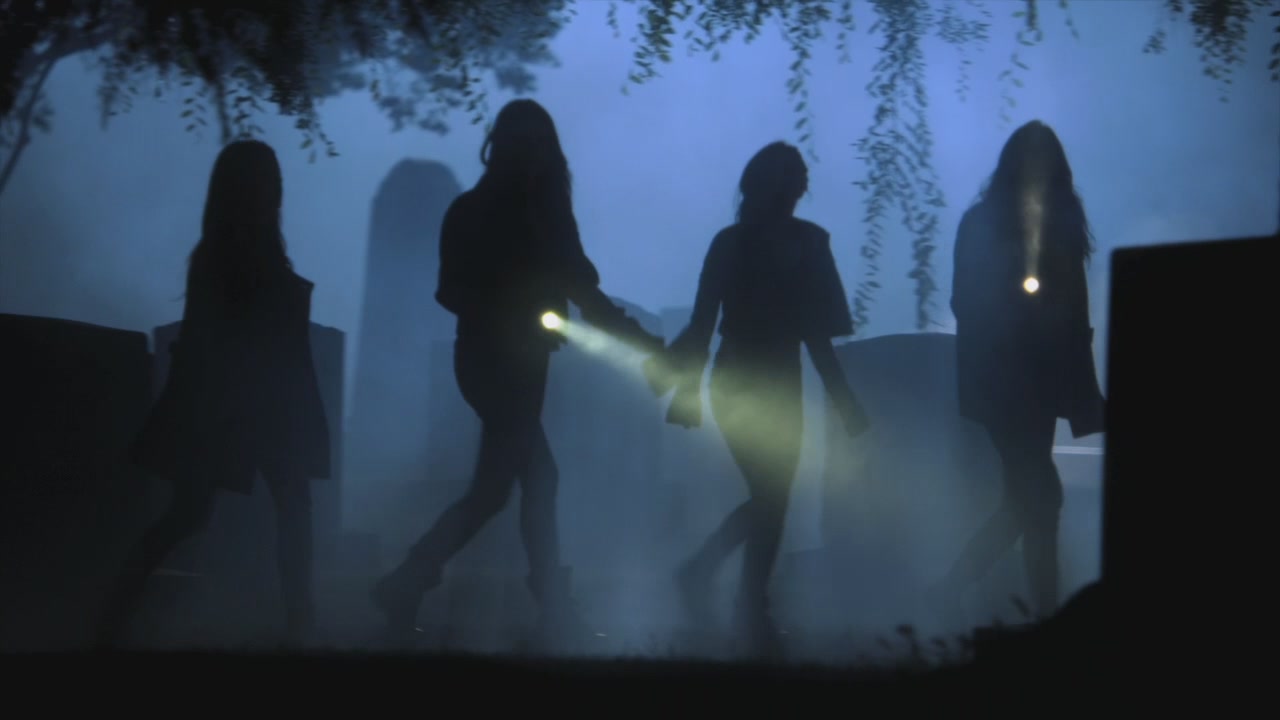 PLL205-1204.jpg