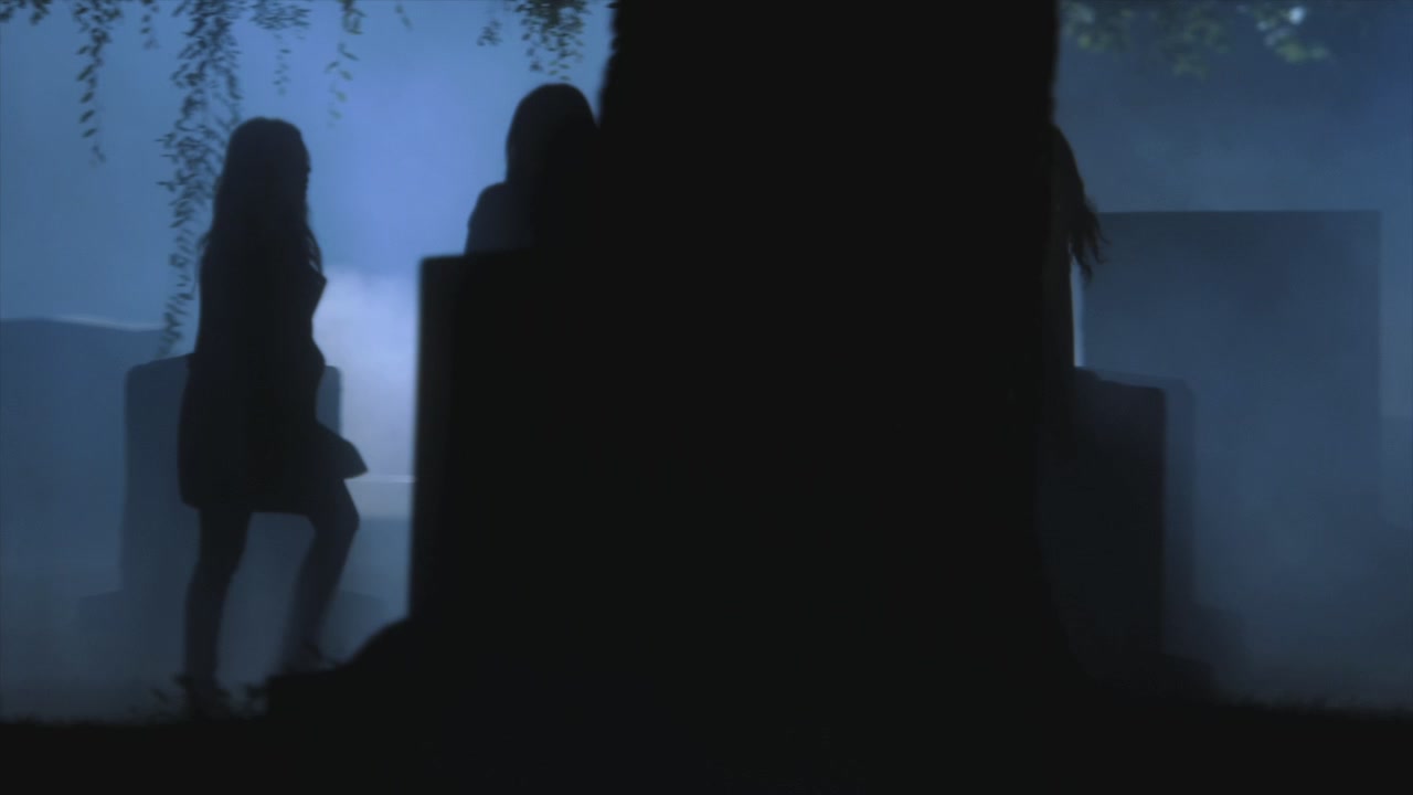 PLL205-1205.jpg