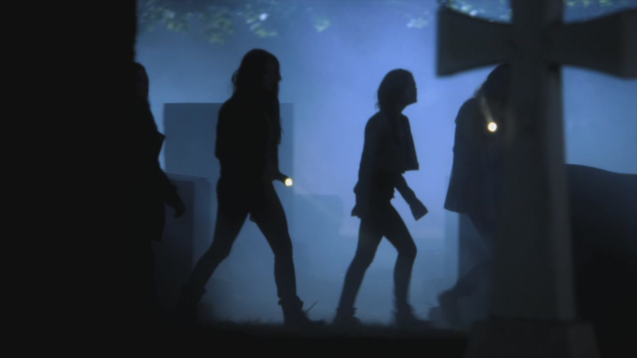 PLL205-1206.jpg