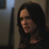 PLL205-0995.jpg