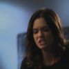 PLL205-0997.jpg