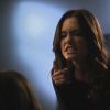 PLL205-0999.jpg