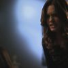 PLL205-1000.jpg