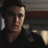 PLL205-1037.jpg