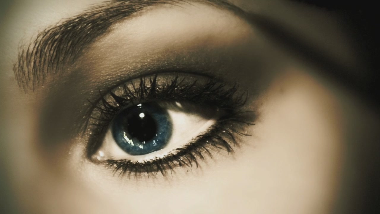 PLL206-0061.jpg