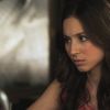 PLL206-0388.jpg
