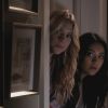 PLL207-01133.jpg