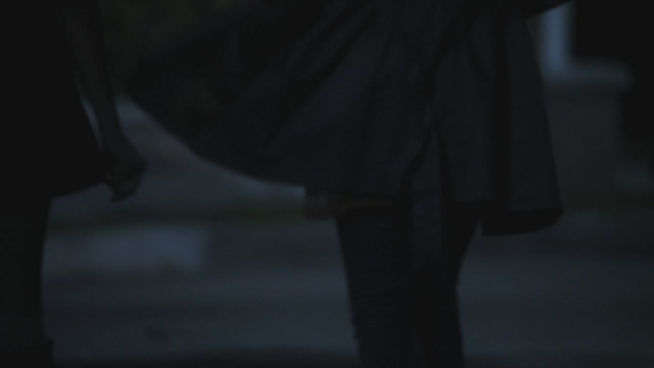 PLL208-00067.jpg