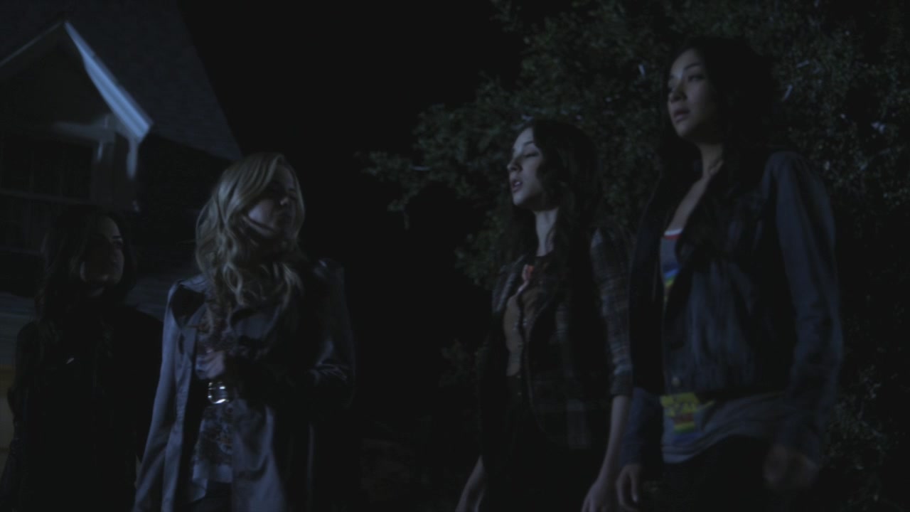PLL208-00071.jpg