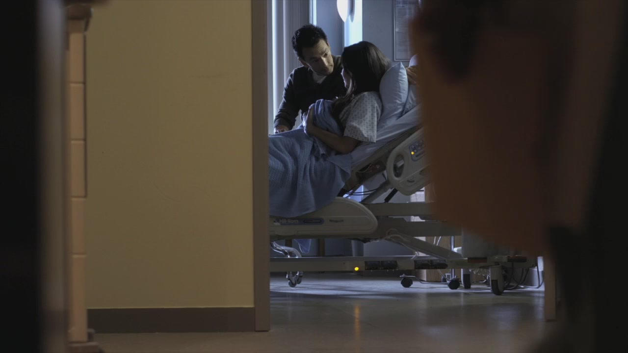 PLL208-00459.jpg