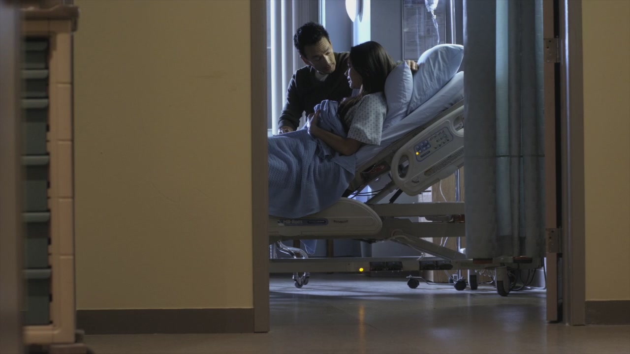 PLL208-00460.jpg