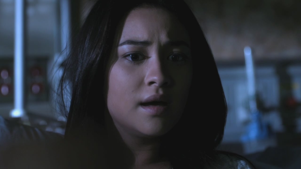 PLL208-00904.jpg
