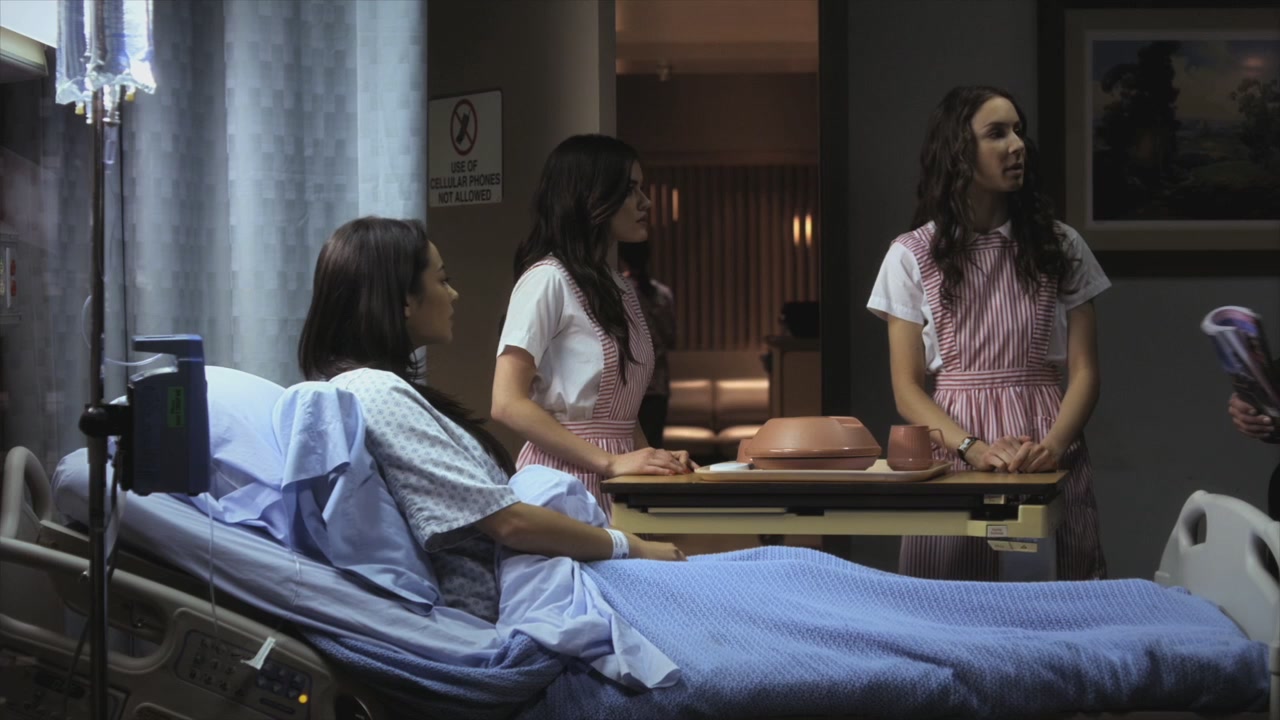 PLL208-00935.jpg