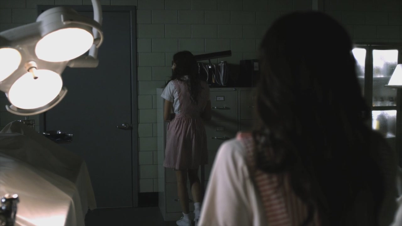 PLL208-00996.jpg