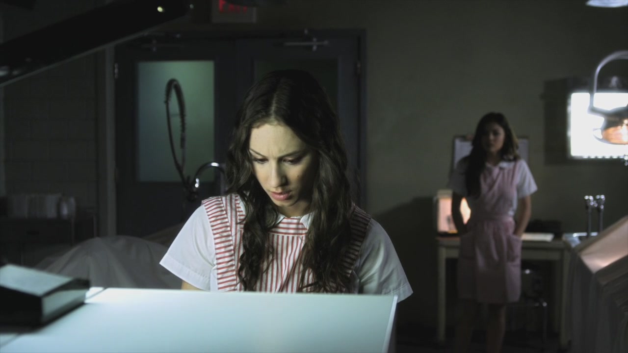 PLL208-01003.jpg