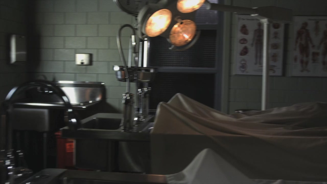 PLL208-01234.jpg