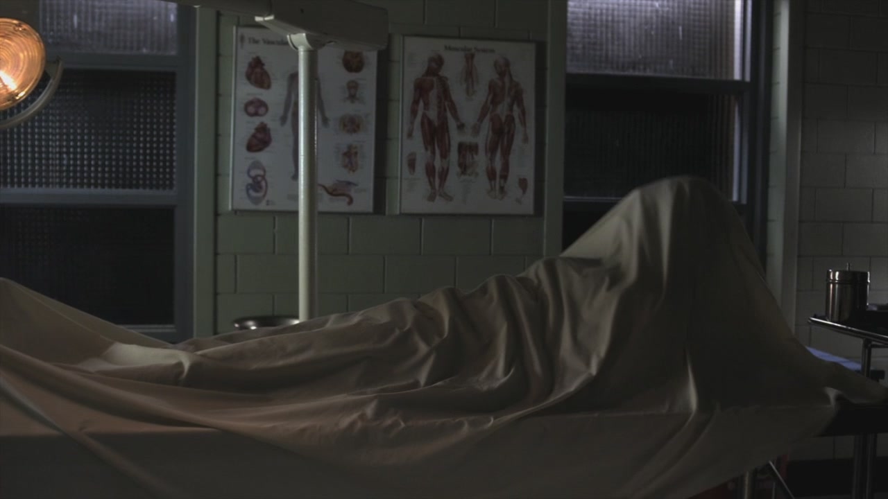 PLL208-01235.jpg