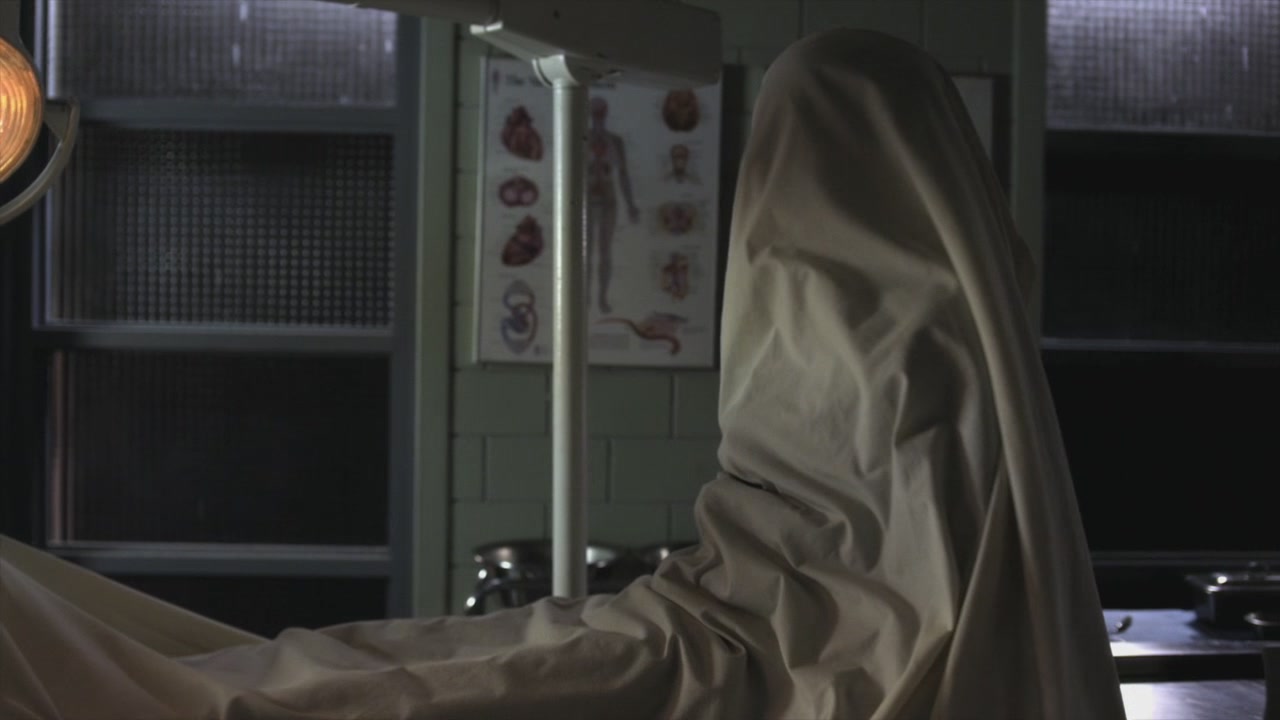 PLL208-01236.jpg