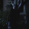 PLL208-00077.jpg