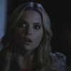 PLL208-00084.jpg
