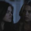 PLL208-00086.jpg