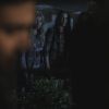 PLL208-00087.jpg