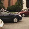PLL208-00239.jpg