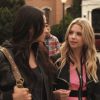 PLL208-00244.jpg