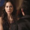PLL208-00283.jpg