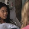 PLL208-00597.jpg
