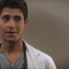 PLL208-00650.jpg