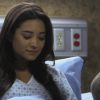 PLL208-00949.jpg
