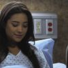 PLL208-00950.jpg
