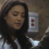 PLL208-00956.jpg