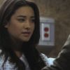 PLL208-00957.jpg
