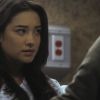 PLL208-00960.jpg