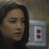PLL208-00963.jpg