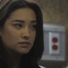 PLL208-00966.jpg